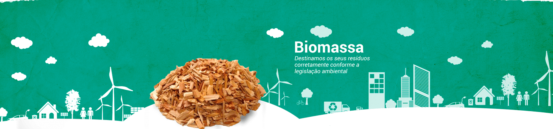 Biomassa